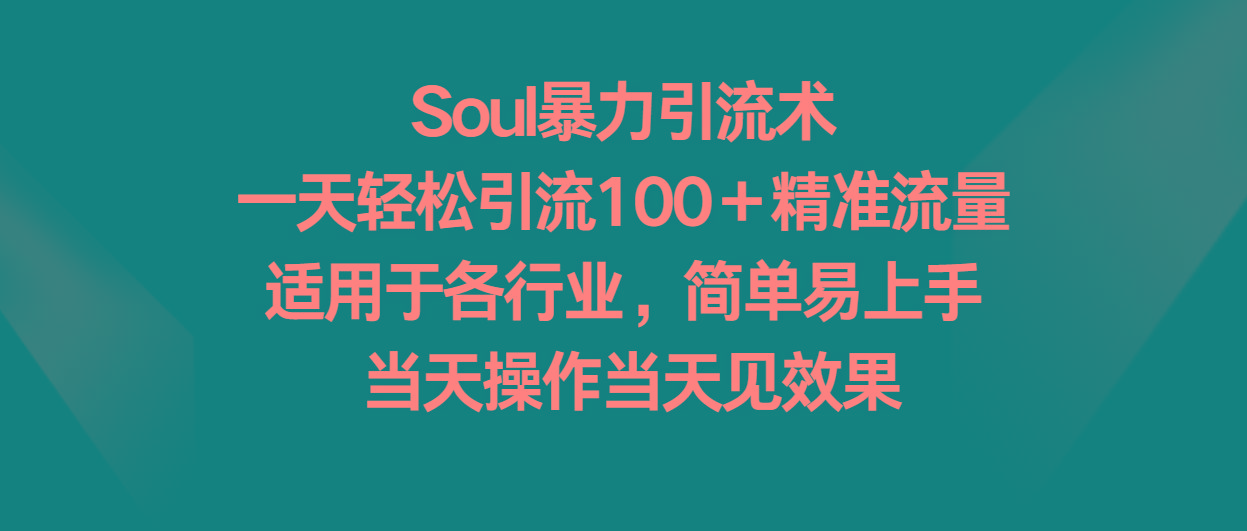 Soul暴力引流术，一天轻松引流100＋精准流量，适用于各行业，简单易上手！-乐码云集