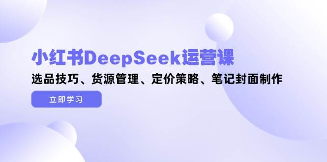 小红书DeepSeek运营课,选品技巧、货源管理、定价策略、笔记封面制作-乐码云集