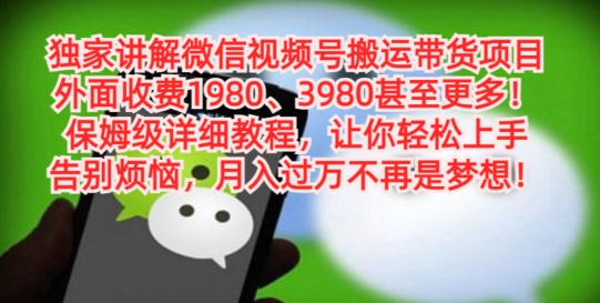 独家讲解微信视频号搬运带货项目，保姆级详细教程-乐码云集