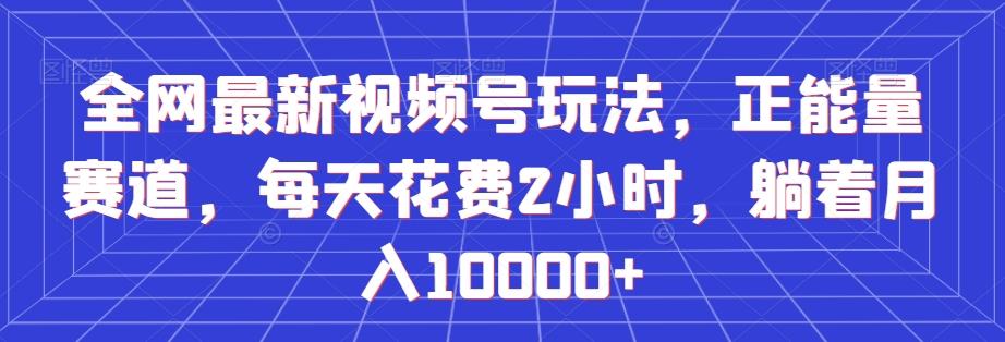 全网最新视频号玩法，正能量赛道，每天花费2小时，躺着月入10000+【揭秘】-乐码云集
