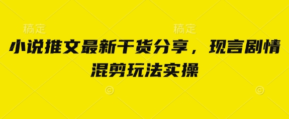小说推文最新干货分享，现言剧情混剪玩法实操-乐码云集