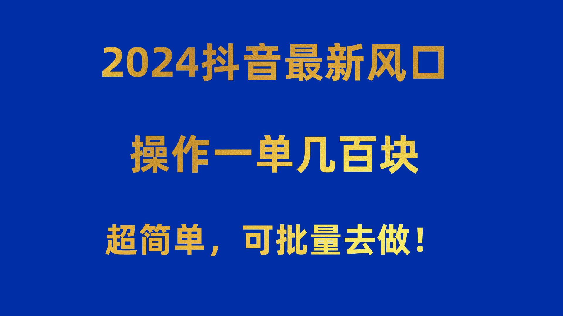 2024抖音最新风口！操作一单几百块！超简单，可批量去做！！！-乐码云集