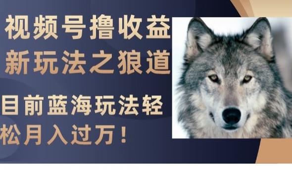 视频号撸收益新玩法之狼道，目前蓝海玩法，轻松月入过万【揭秘】-乐码云集