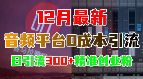 12月最新：音频平台0成本引流，日引流300+精准创业粉-乐码云集