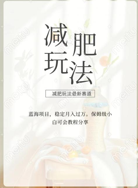 减肥流量主新玩法，轻松月入1W，可矩阵操作收入翻倍-乐码云集