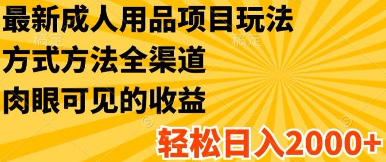 最新成人用品项目玩法，方式方法全渠道，轻松日入2K+【揭秘】-乐码云集