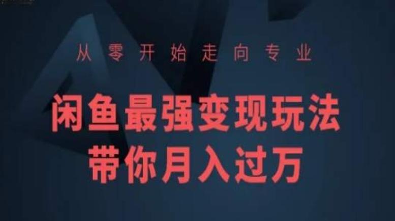 从零开始走向专业，闲鱼最强变现玩法带你月入过万-乐码云集