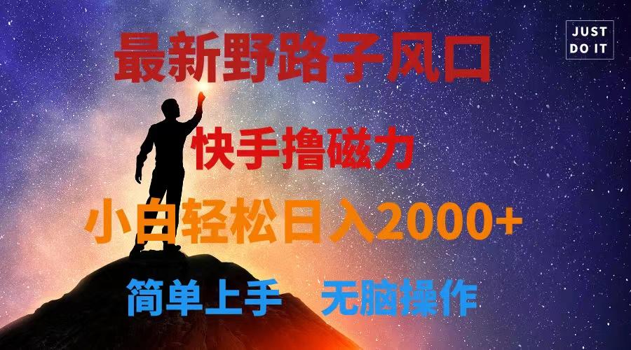 最新风口！快手撸磁力，野路子，小白无脑操作日入2000+-乐码云集