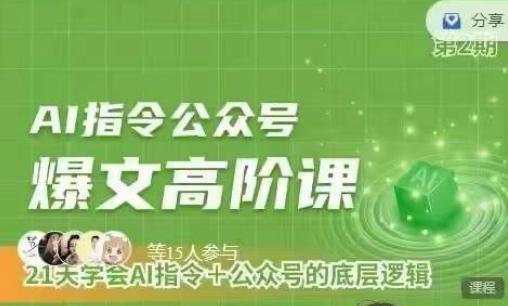 Ai指令公众号高阶课，学会ai指令+公众号的底层逻辑-乐码云集