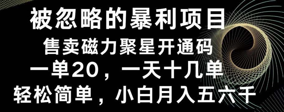被忽略的暴利项目！售卖磁力聚星开通码，一单20，一天十几单，轻松月入五六千-乐码云集