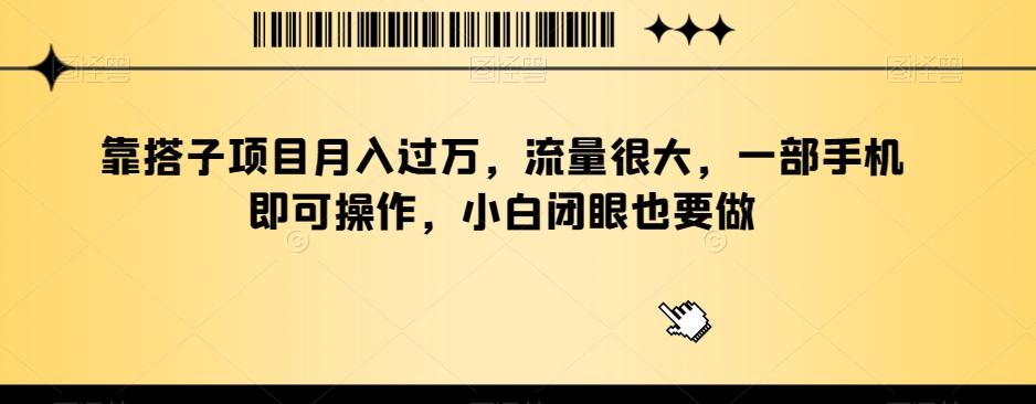 靠搭子项目月入过万，流量很大，一部手机即可操作，小白闭眼也要做-乐码云集