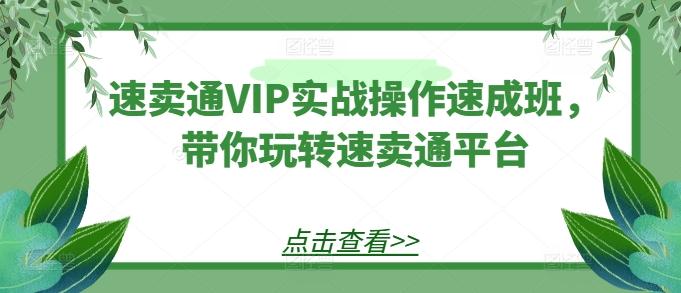 速卖通VIP实战操作速成班，带你玩转速卖通平台-乐码云集