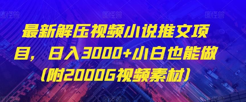 最新解压视频小说推文项目，日入3000+小白也能做（附2000G视频素材）【揭秘】-乐码云集