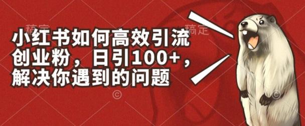 小红书如何高效引流创业粉，日引100+，解决你遇到的问题【揭秘】-乐码云集