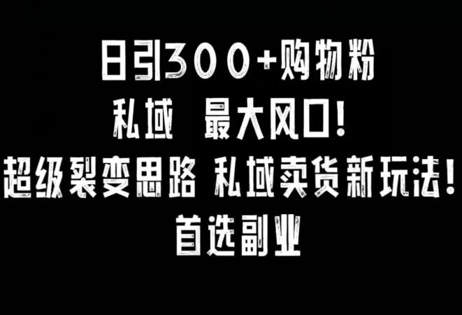 日引300+购物粉，超级裂变思路，私域卖货新玩法，小红书首选副业【揭秘】-乐码云集
