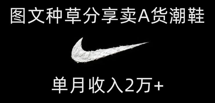 靠图文种草分享卖A货潮鞋，每天一小时，单月收入2万+【揭秘】-乐码云集