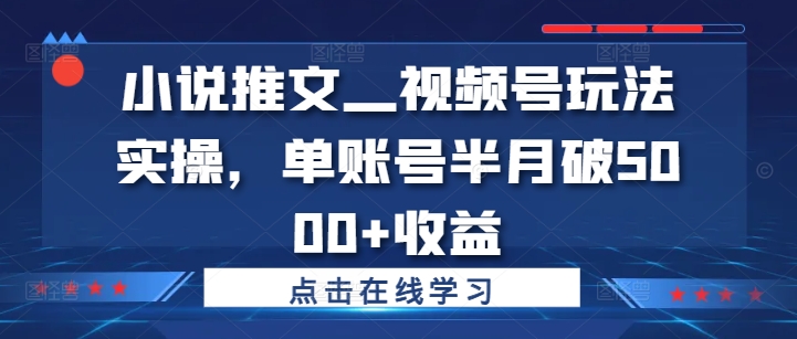 小说推文—视频号玩法实操，单账号半月破5000+收益-乐码云集