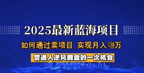 2025蓝海项目，普通人如何通过卖项目，实现月入过W，全过程【揭秘】-乐码云集