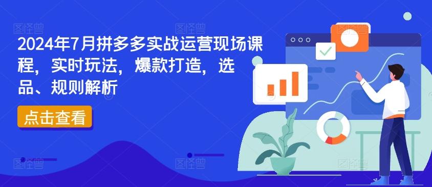 2024年7月拼多多实战运营现场课程，实时玩法，爆款打造，选品、规则解析-乐码云集