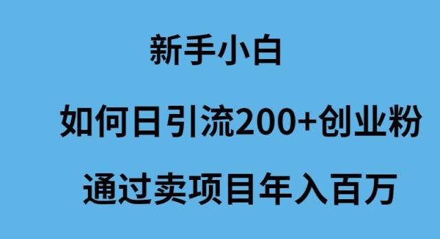 (9668期)新手小白如何日引流200+创业粉通过卖项目年入百万-乐码云集