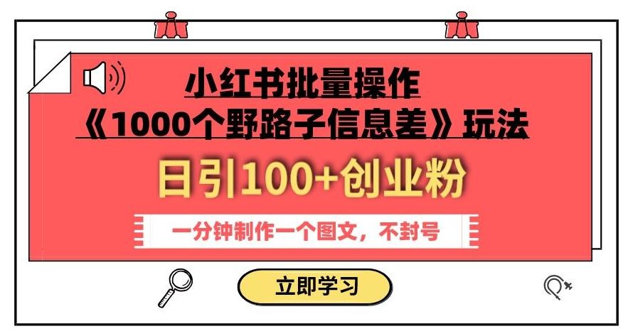 小红书批量操作《1000个野路子信息差》玩法，一分钟制作一个图文，不封号，日引100+创业粉-乐码云集