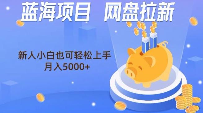 蓝海项目网盘拉新，新人小白也可操作，每月收入5000+-乐码云集