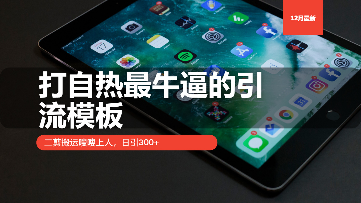 打自热最牛逼的引流模板，二剪搬运嗖嗖上人，日引300+-乐码云集
