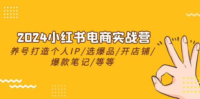 2024小红书电商实战营，养号打造IP/选爆品/开店铺/爆款笔记/等等(24节)-乐码云集