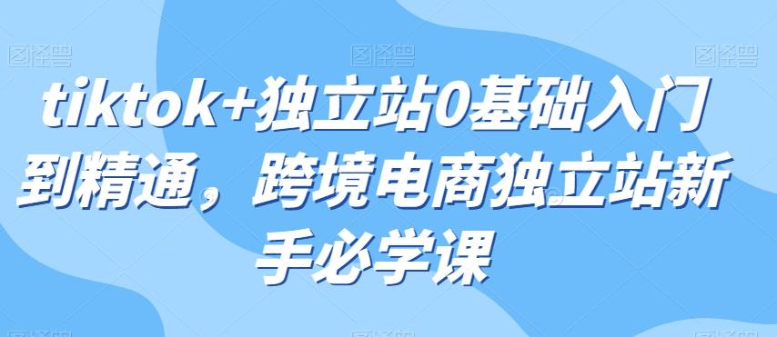tiktok+独立站0基础入门到精通，跨境电商独立站新手必学课-乐码云集