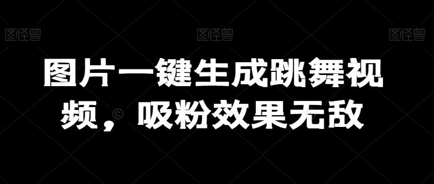 图片一键生成跳舞视频，吸粉效果无敌-乐码云集