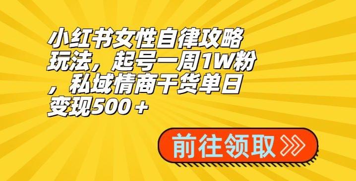 小红书女性自律攻略玩法，起号一周1W粉，私域情商干货单日变现500＋-乐码云集