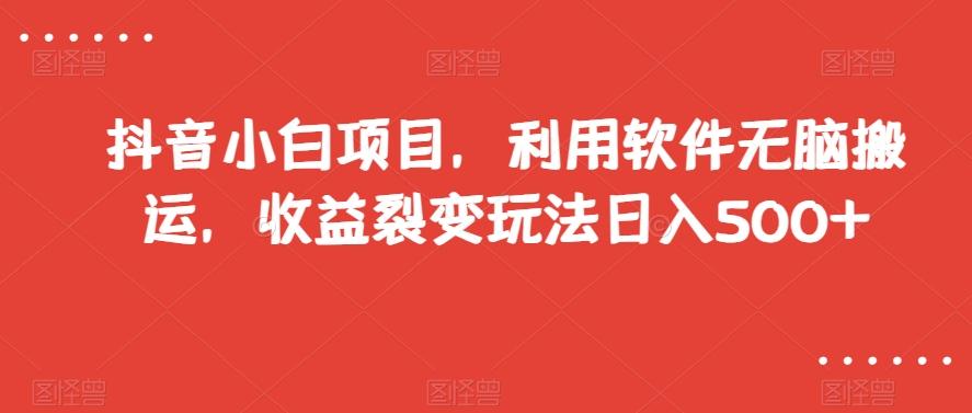 抖音小白项目，利用软件无脑搬运，收益裂变玩法日入500+【揭秘】-乐码云集