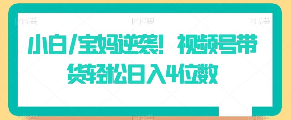 小白/宝妈逆袭！视频号带货轻松日入4位数【揭秘】-乐码云集