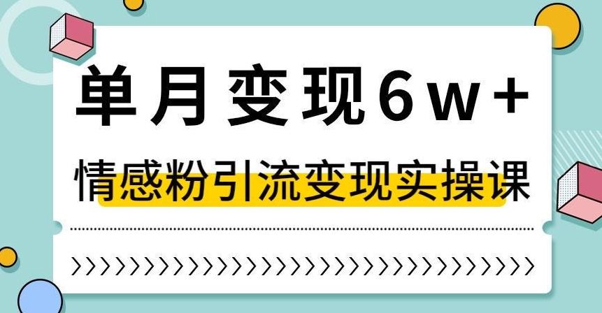 单月变现6W+，抖音情感粉引流变现实操课，小白可做，轻松上手，独家赛道【揭秘】-乐码云集