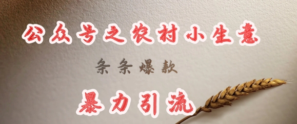 deepseek写农村小项目，条条爆款，暴力引流-乐码云集