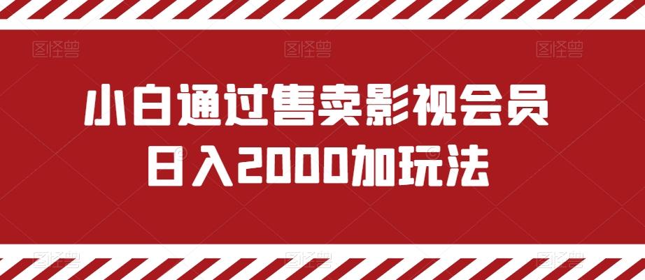 小白通过售卖影视会员日入2000加玩法-乐码云集