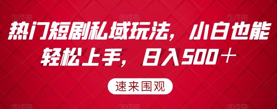 热门短剧私域玩法,小白也能轻松上手,日入500+