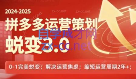 大力老师·2024拼多多运营策略蜕变3.0-乐码云集