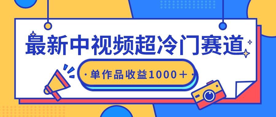 (9275期)最新中视频超冷门赛道，轻松过原创，单条视频收益1000＋-乐码云集