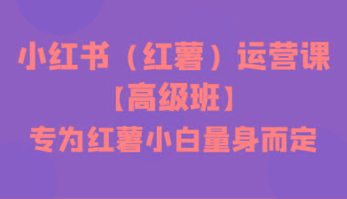 小红书(红薯)运营课【高级班】，专为红薯小白量身而定(42节课)-乐码云集
