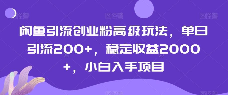 闲鱼引流创业粉高级玩法，单日引流200+，稳定收益2000+，小白入手项目-乐码云集