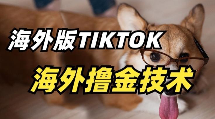 抖音海外版tiktok撸金技术，这个风口行业，赚钱真的不难【揭秘】-乐码云集