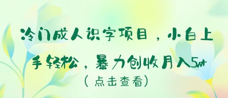冷门成人识字项目，小白上手轻松，暴力创收月入5w+【揭秘】-乐码云集