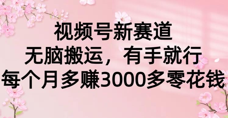 (9278期)视频号新赛道，无脑搬运，有手就行，每个月多赚3000多零花钱-乐码云集