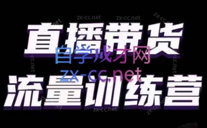 婉婉·直播带货课程系列合集(更新8月)-乐码云集