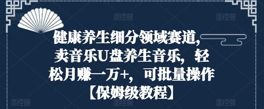健康养生细分领域赛道，卖音乐U盘养生音乐，轻松月赚一万+，可批量操作【保姆级教程】-乐码云集