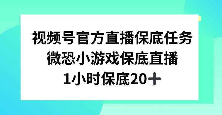 视频号直播任务，微恐小游戏，1小时20+【揭秘】-乐码云集