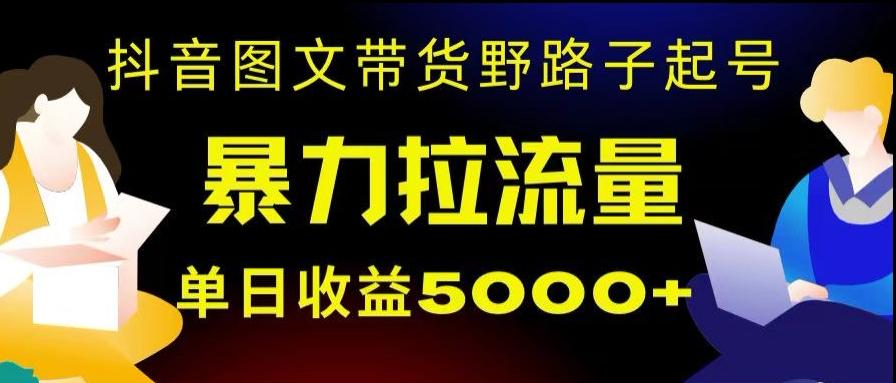 抖音图文带货暴力起号，单日收益5000+，野路子玩法，简单易上手，一部手机即可【揭秘】-乐码云集