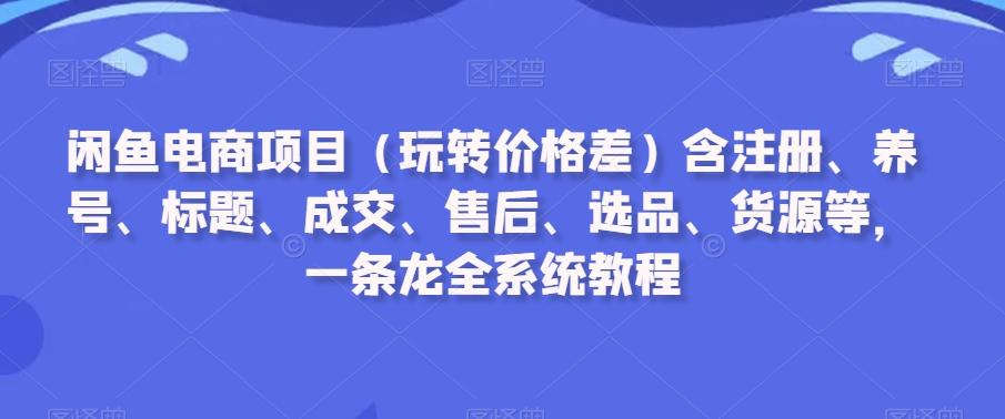 闲鱼电商项目(玩转价格差)含注册、养号、标题、成交、售后、选品、货源等，一条龙全系统教程-乐码云集