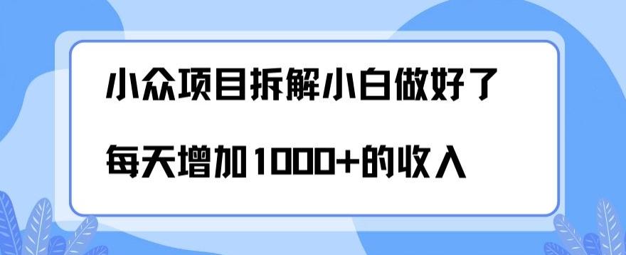 小众项目拆解，小白做好了每天可增加1000多的收入-乐码云集